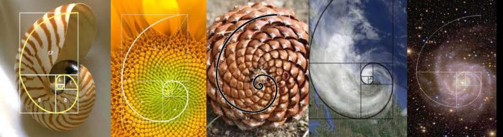 fibonacci sequence